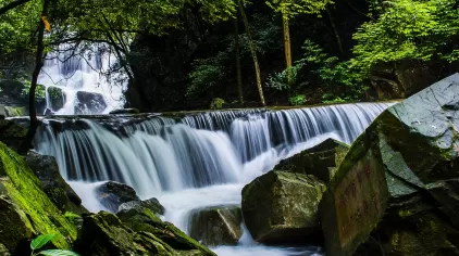 鼎湖山