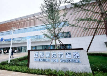 成都京东方医院